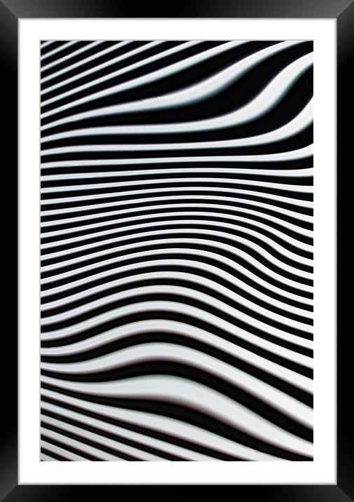Zebra Stripes Framed Mounted Print by Jacqi Elmslie