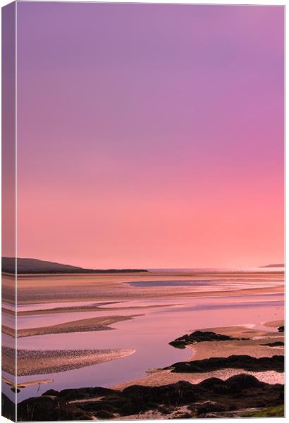 Pink Sunset Canvas Print by Jacqi Elmslie