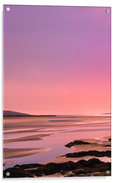 Pink Sunset Acrylic by Jacqi Elmslie