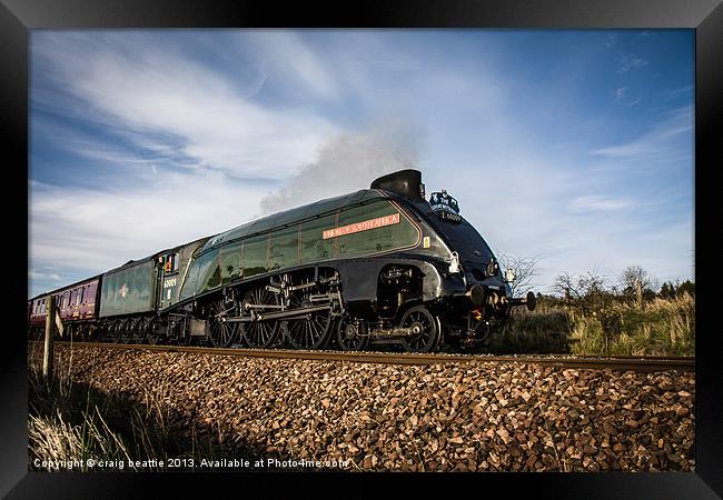 Union of South Africa 60009 Framed Print by craig beattie