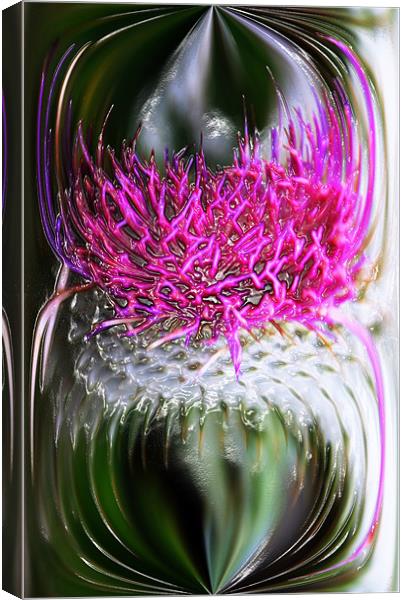 Thistle In Glass Canvas Print by Ian Jeffrey