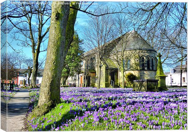 Springtime at St Chads. Canvas Print by Lilian Marshall
