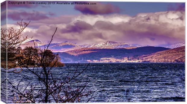 Coniston Water Lake District. Canvas Print by Trevor Kersley RIP