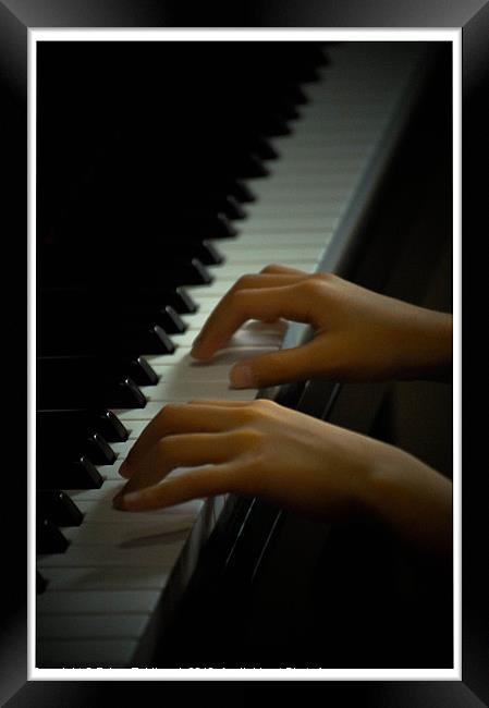 Piano Playing Framed Print by Telmo Zaldivar Jr