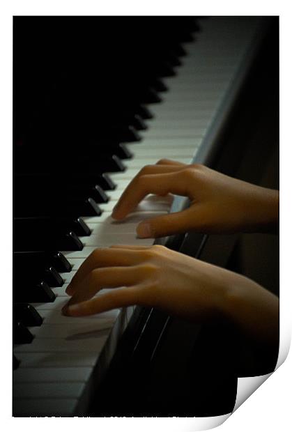 Piano Playing Print by Telmo Zaldivar Jr