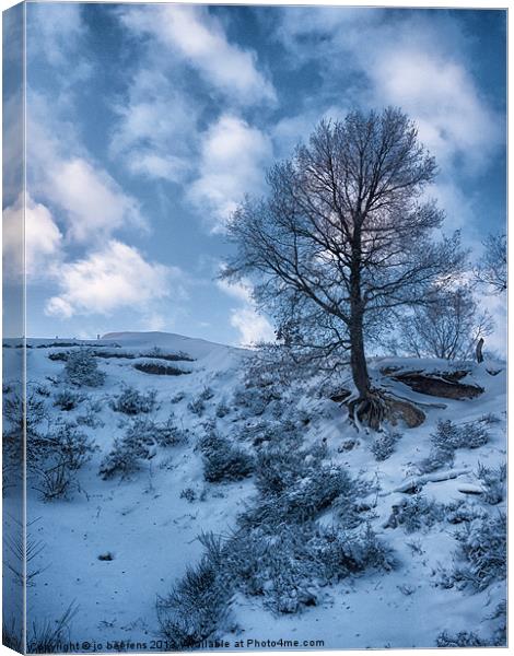 winter scene Canvas Print by Jo Beerens