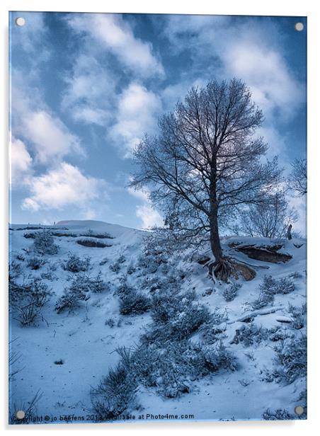winter scene Acrylic by Jo Beerens