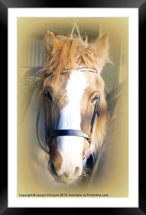 The Farm Horse Framed Mounted Print by Jacqui Kilcoyne