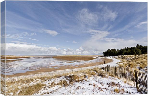 Holkham in Winter Canvas Print by Paul Macro