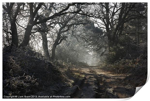 Peddars Way, North Pickenham, Norfolk Print by Liam Grant