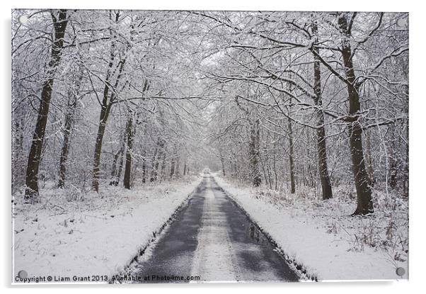 Remote snow covered road through Beech woodland. Acrylic by Liam Grant