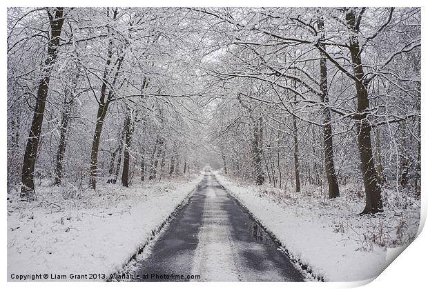 Remote snow covered road through Beech woodland. Print by Liam Grant