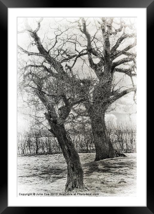 Black and White Trees Framed Mounted Print by Julie Coe
