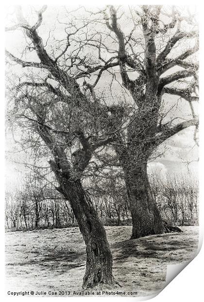 Black and White Trees Print by Julie Coe