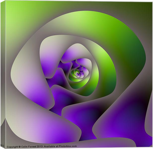 Labyrinth in Green and Purple Canvas Print by Colin Forrest