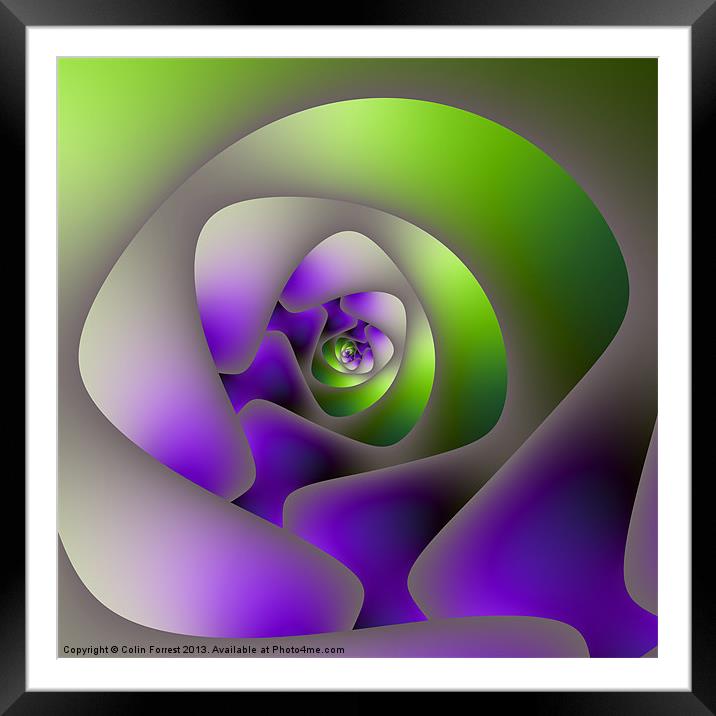 Labyrinth in Green and Purple Framed Mounted Print by Colin Forrest
