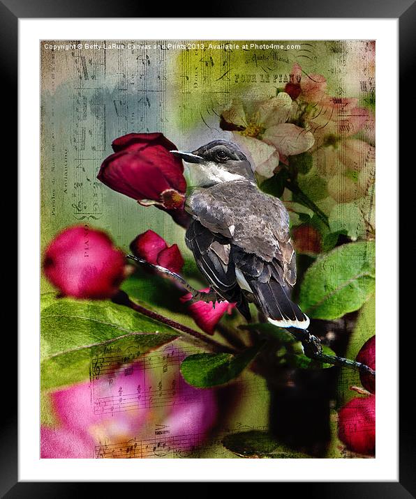 Songs of Spring Framed Mounted Print by Betty LaRue