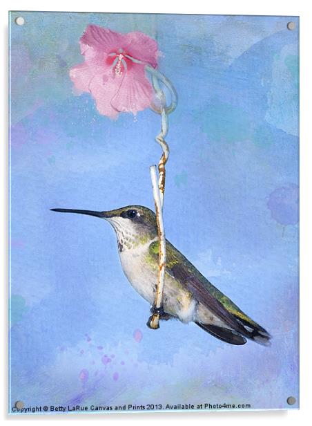 Hummingbirds Like to Swing Acrylic by Betty LaRue