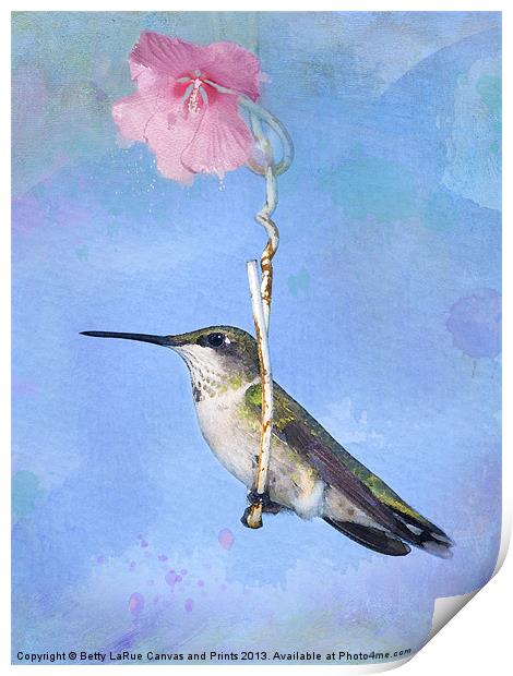 Hummingbirds Like to Swing Print by Betty LaRue