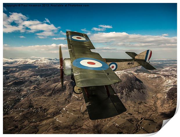 Sopwith Pup Print by P H