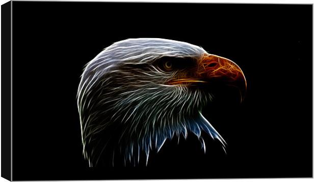 bald eagle iPhone Case Canvas Print by Dean Messenger