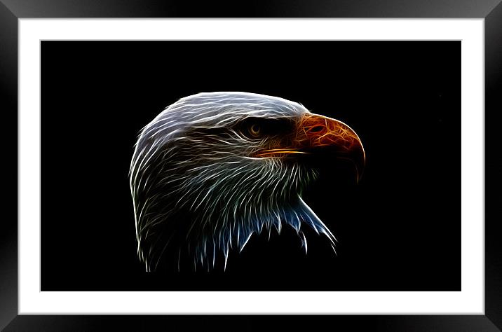 bald eagle iPhone Case Framed Mounted Print by Dean Messenger