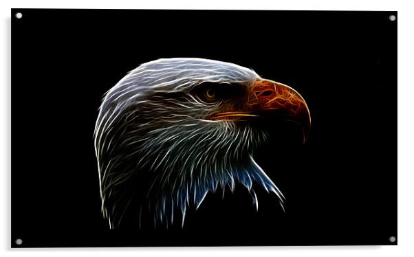bald eagle iPhone Case Acrylic by Dean Messenger