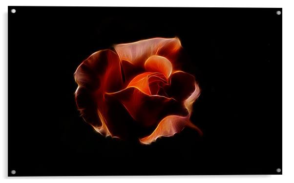 Orange Rose iPhone Case Acrylic by Dean Messenger