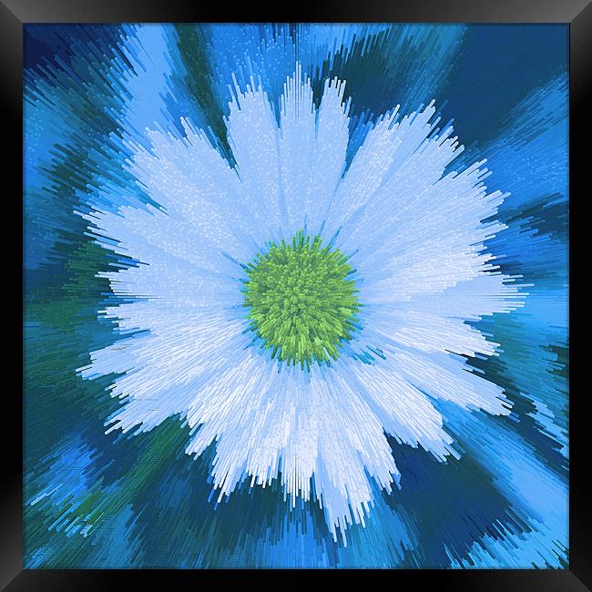 Abstract Daisy on blue Framed Print by Bill Simpson