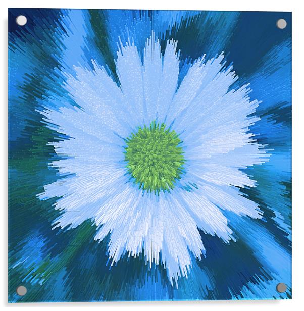 Abstract Daisy on blue Acrylic by Bill Simpson