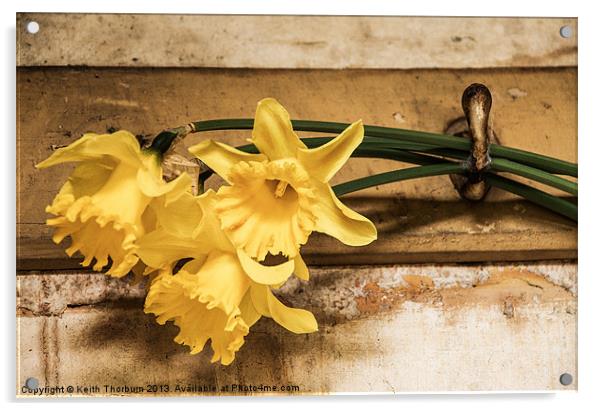 Hanging Daffodils Acrylic by Keith Thorburn EFIAP/b
