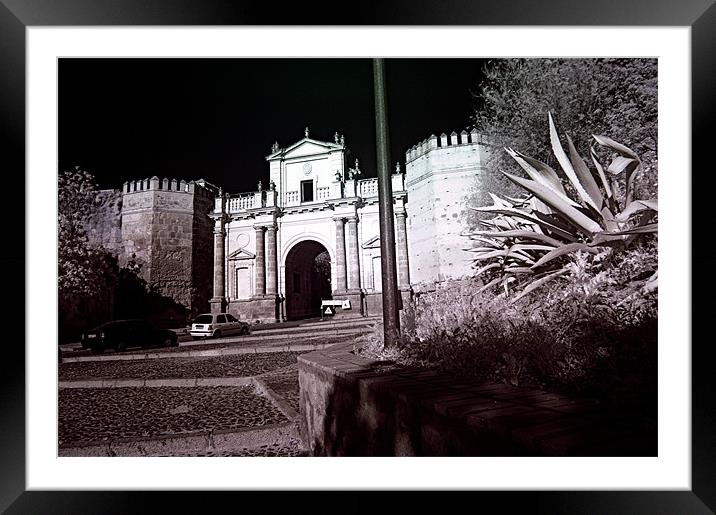 Infrared photography 1 Framed Mounted Print by Jose Manuel Espigares Garc