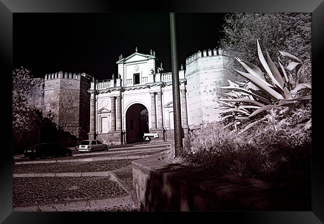 Infrared photography 1 Framed Print by Jose Manuel Espigares Garc