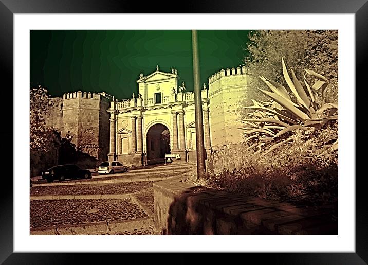 Infrared photography 2 Framed Mounted Print by Jose Manuel Espigares Garc