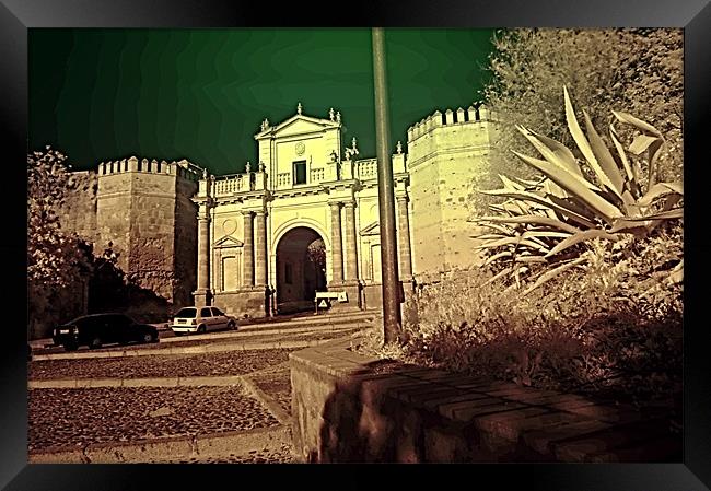Infrared photography 2 Framed Print by Jose Manuel Espigares Garc