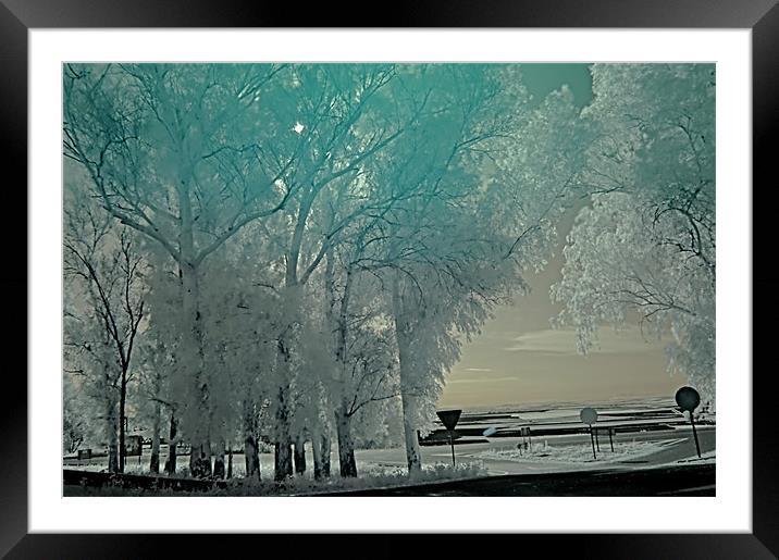 Infrared photography 5 Framed Mounted Print by Jose Manuel Espigares Garc