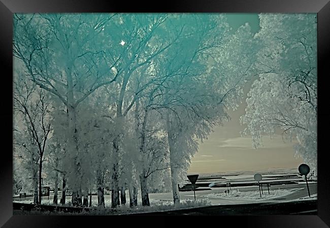 Infrared photography 5 Framed Print by Jose Manuel Espigares Garc