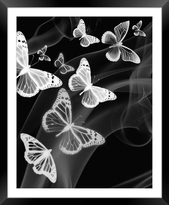 black white butterfly phone case Framed Mounted Print by Emma Ward
