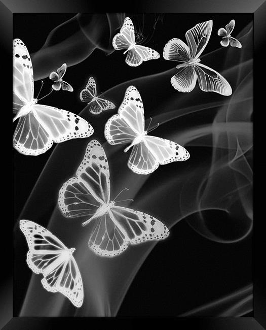 black white butterfly phone case Framed Print by Emma Ward