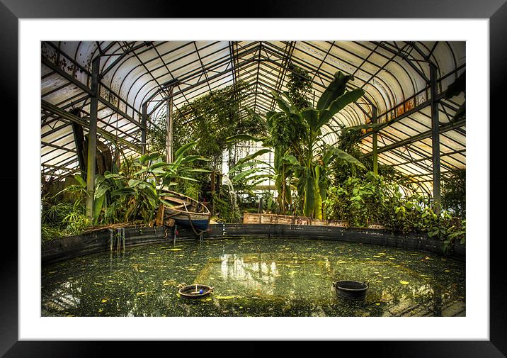 The Tropical House Framed Mounted Print by Ian Johnston  LRPS