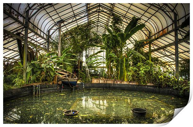 The Tropical House Print by Ian Johnston  LRPS