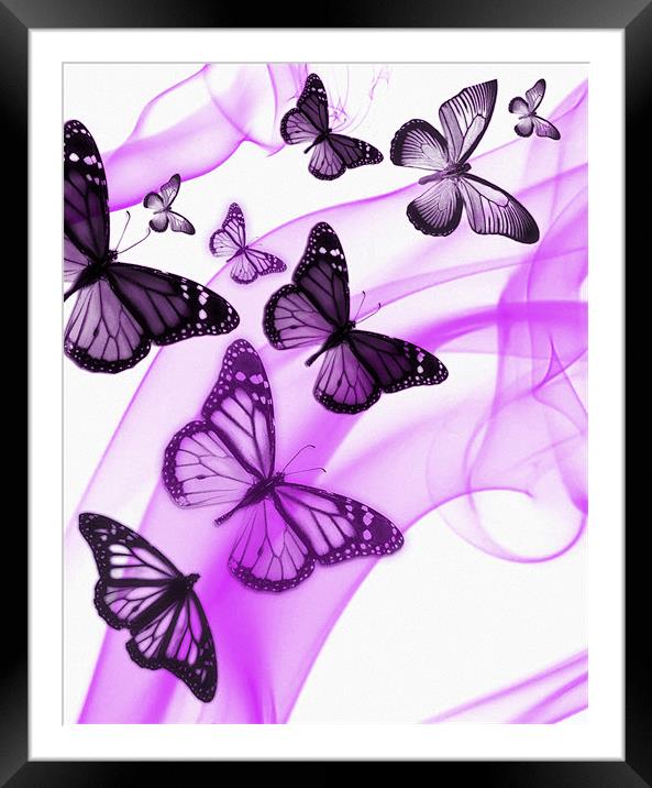 purple phone case Framed Mounted Print by Emma Ward