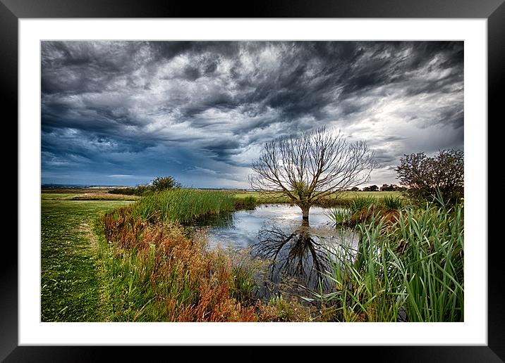 Waterlogged Tree Under A Storm Cloud Framed Mounted Print by Nigel Jones