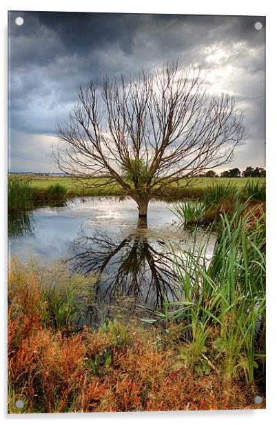 Waterlogged Tree Acrylic by Nigel Jones