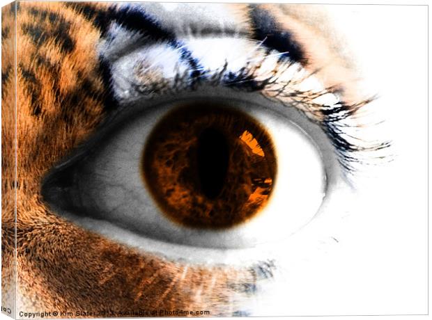 Tigers Eye Canvas Print by Kim Slater