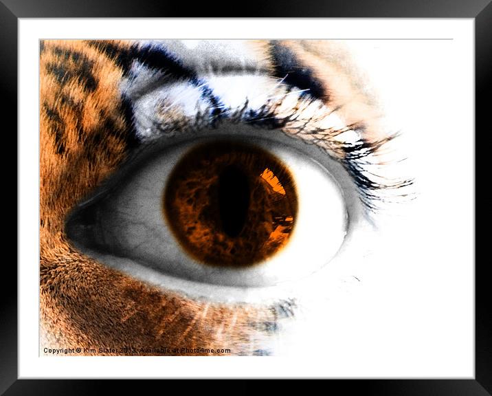 Tigers Eye Framed Mounted Print by Kim Slater
