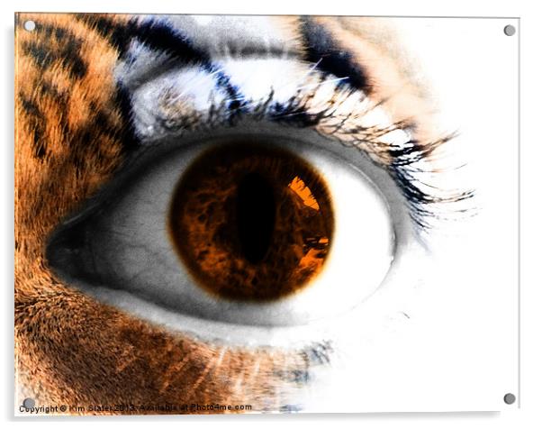 Tigers Eye Acrylic by Kim Slater