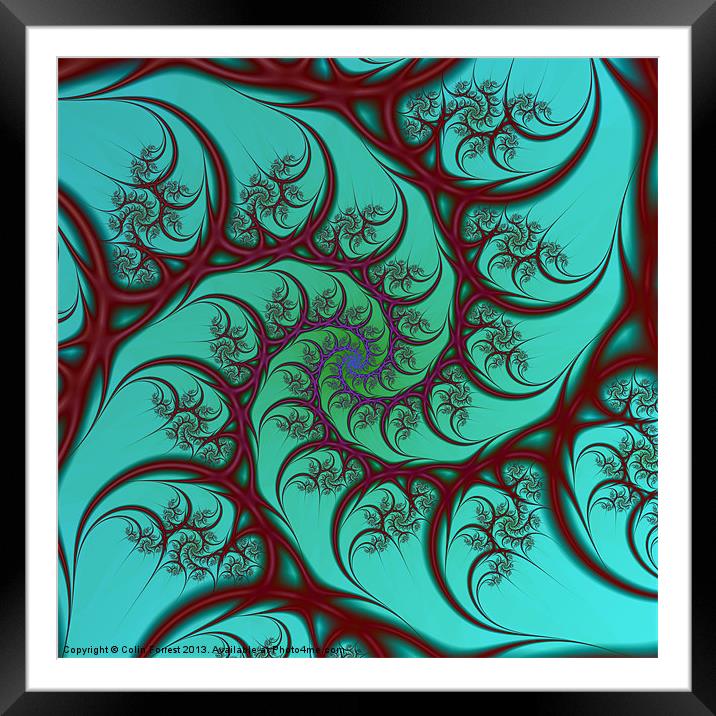 Red on Turquoise Spiral Framed Mounted Print by Colin Forrest