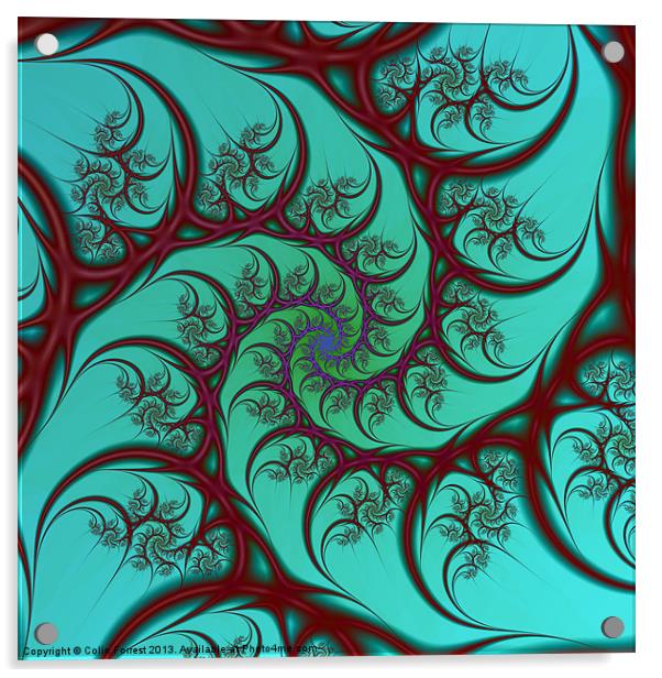 Red on Turquoise Spiral Acrylic by Colin Forrest