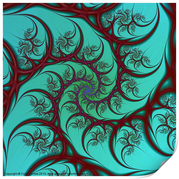 Red on Turquoise Spiral Print by Colin Forrest